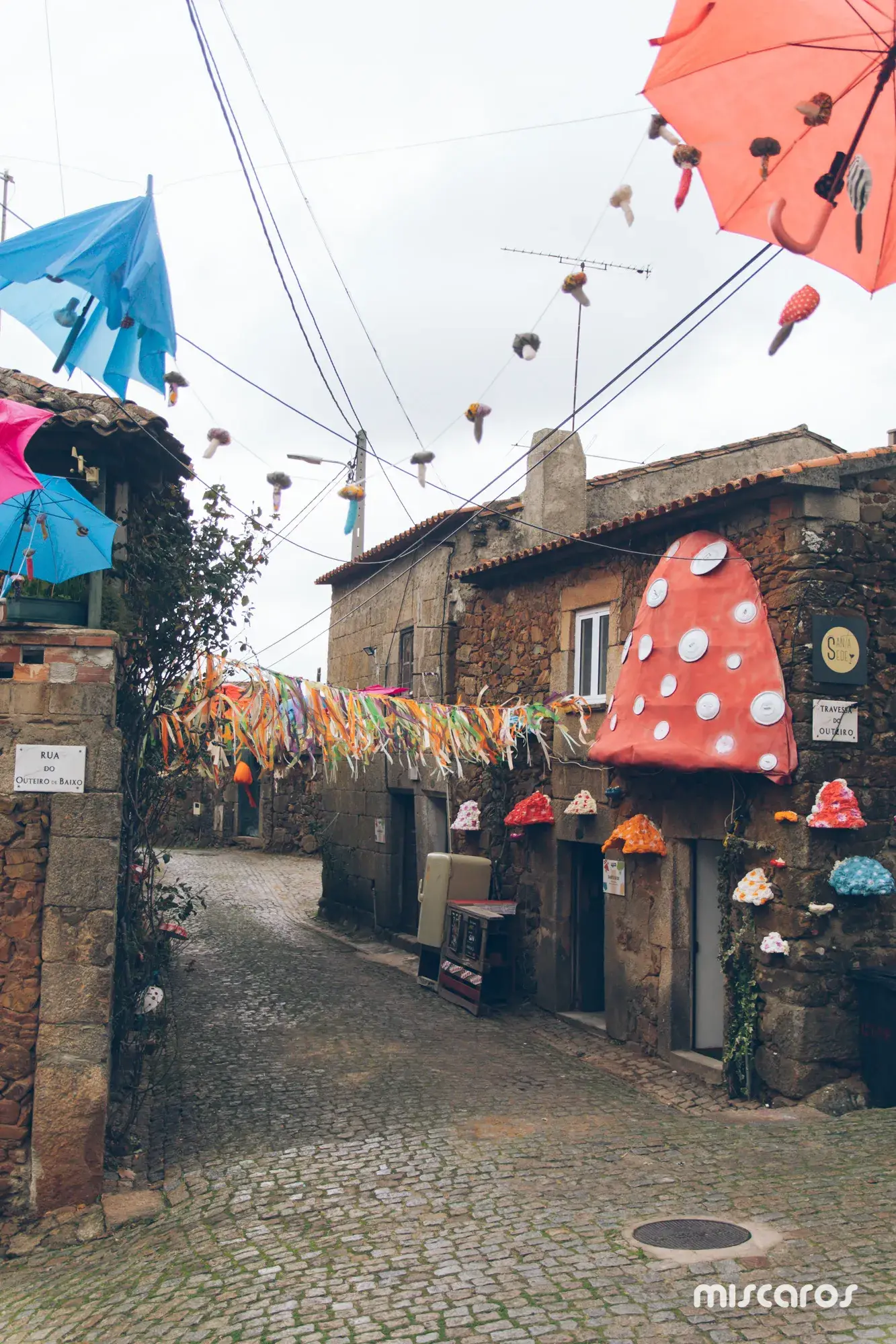 Míscaros - Festival do Cogumelo 2025 | Quarta e Quinta-feira