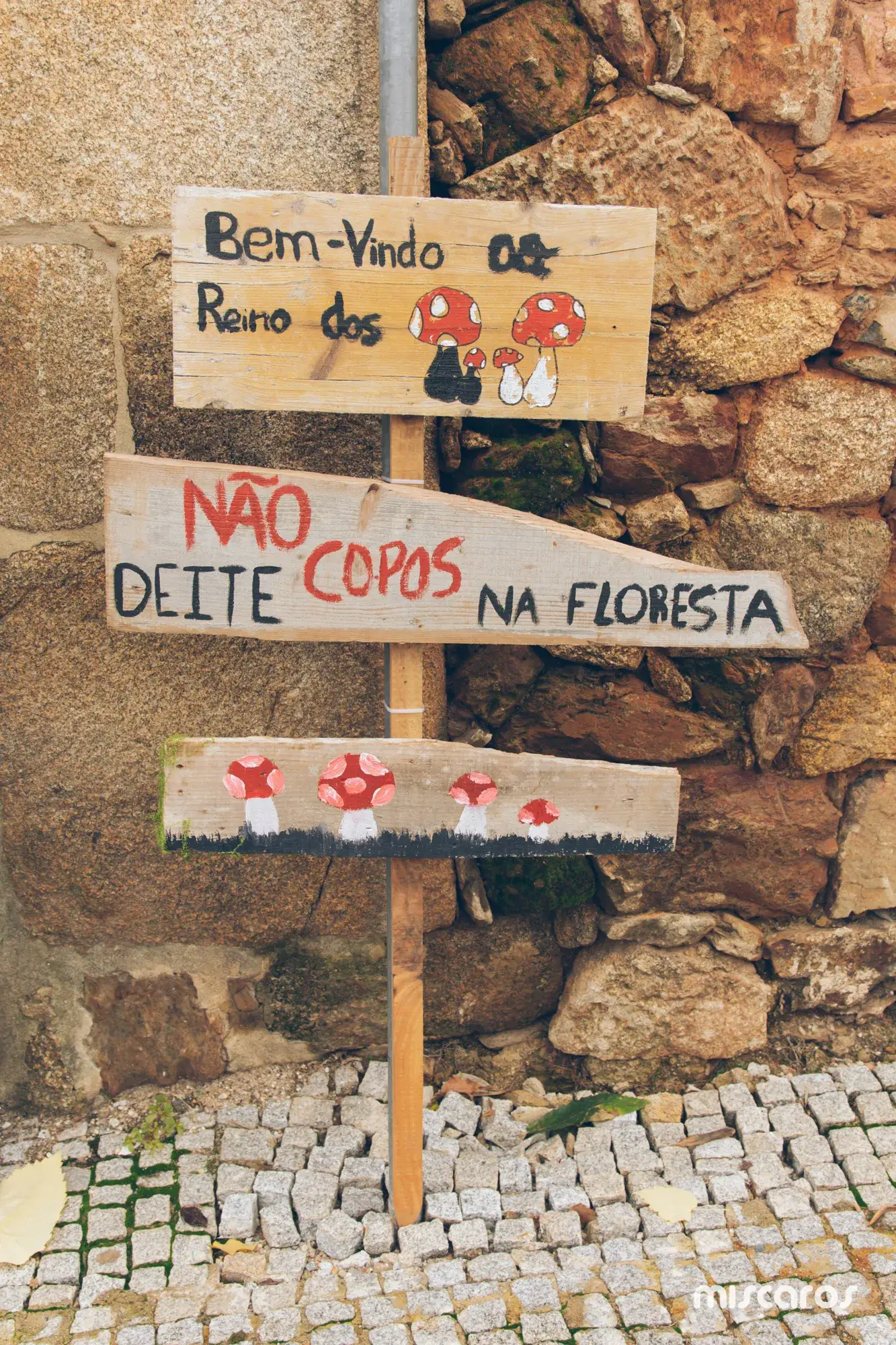 Míscaros - Festival do Cogumelo 2025 | Quarta e Quinta-feira