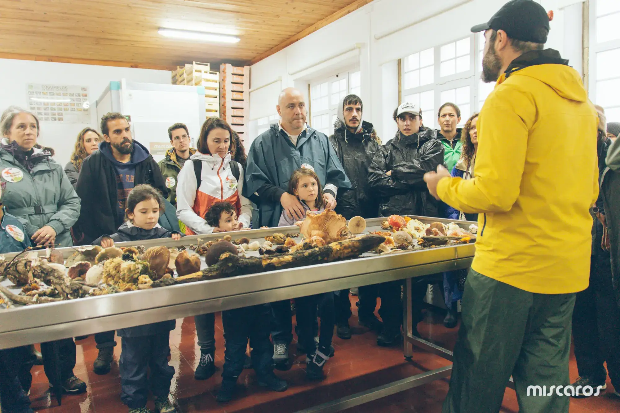 Míscaros - Festival do Cogumelo 2025 | Quarta e Quinta-feira