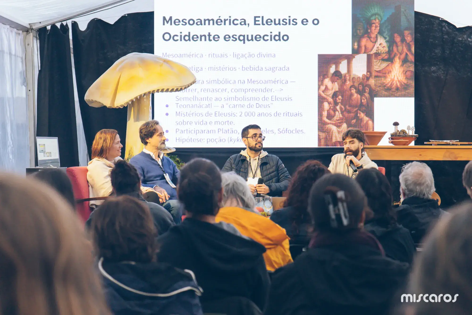 Míscaros - Festival do Cogumelo 2025 | Quarta e Quinta-feira