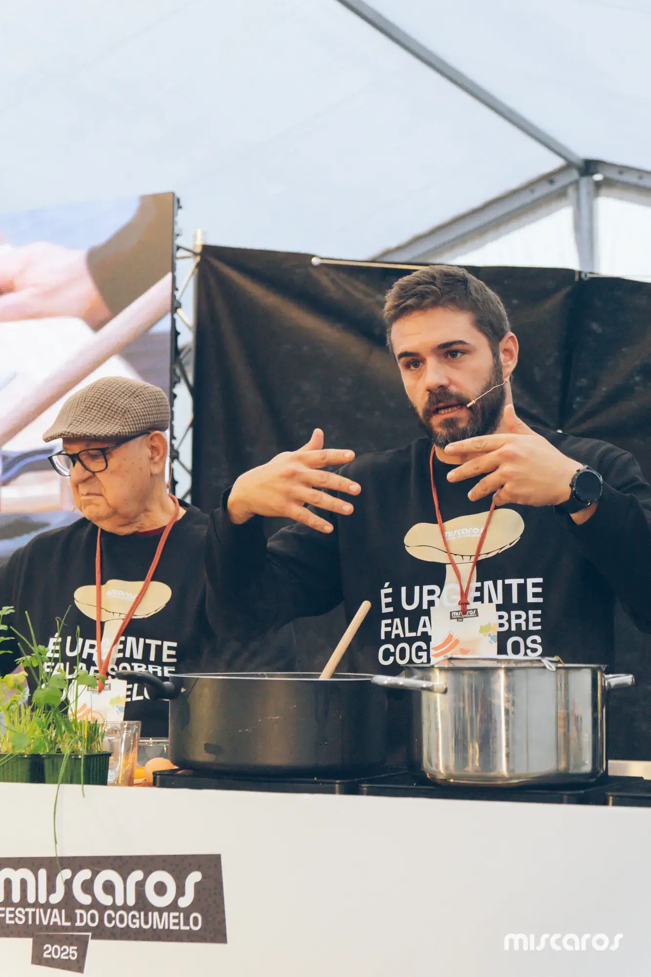 Míscaros - Festival do Cogumelo 2025 | Sexta-feira