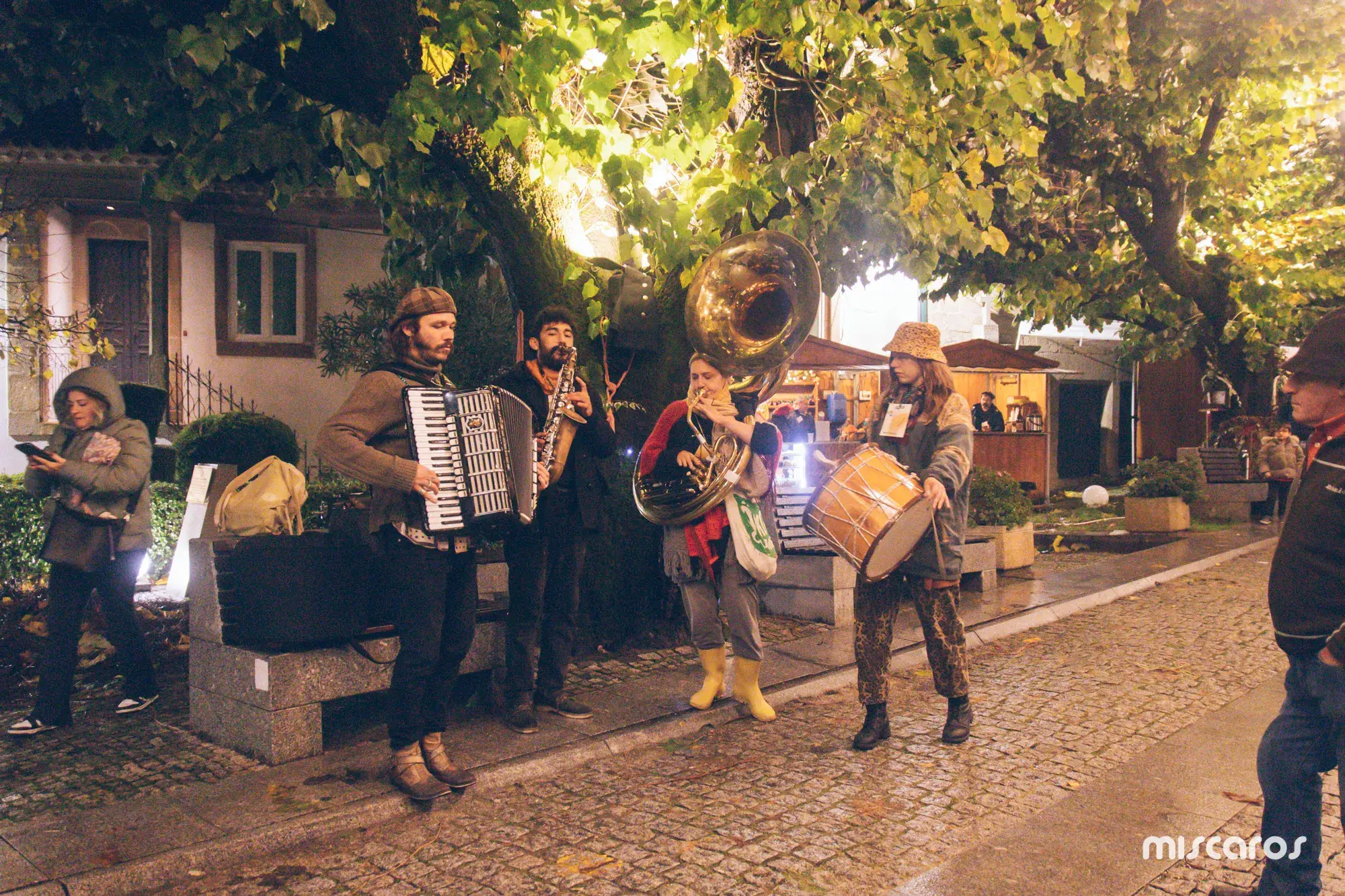 Míscaros - Festival do Cogumelo 2025 | Sexta-feira