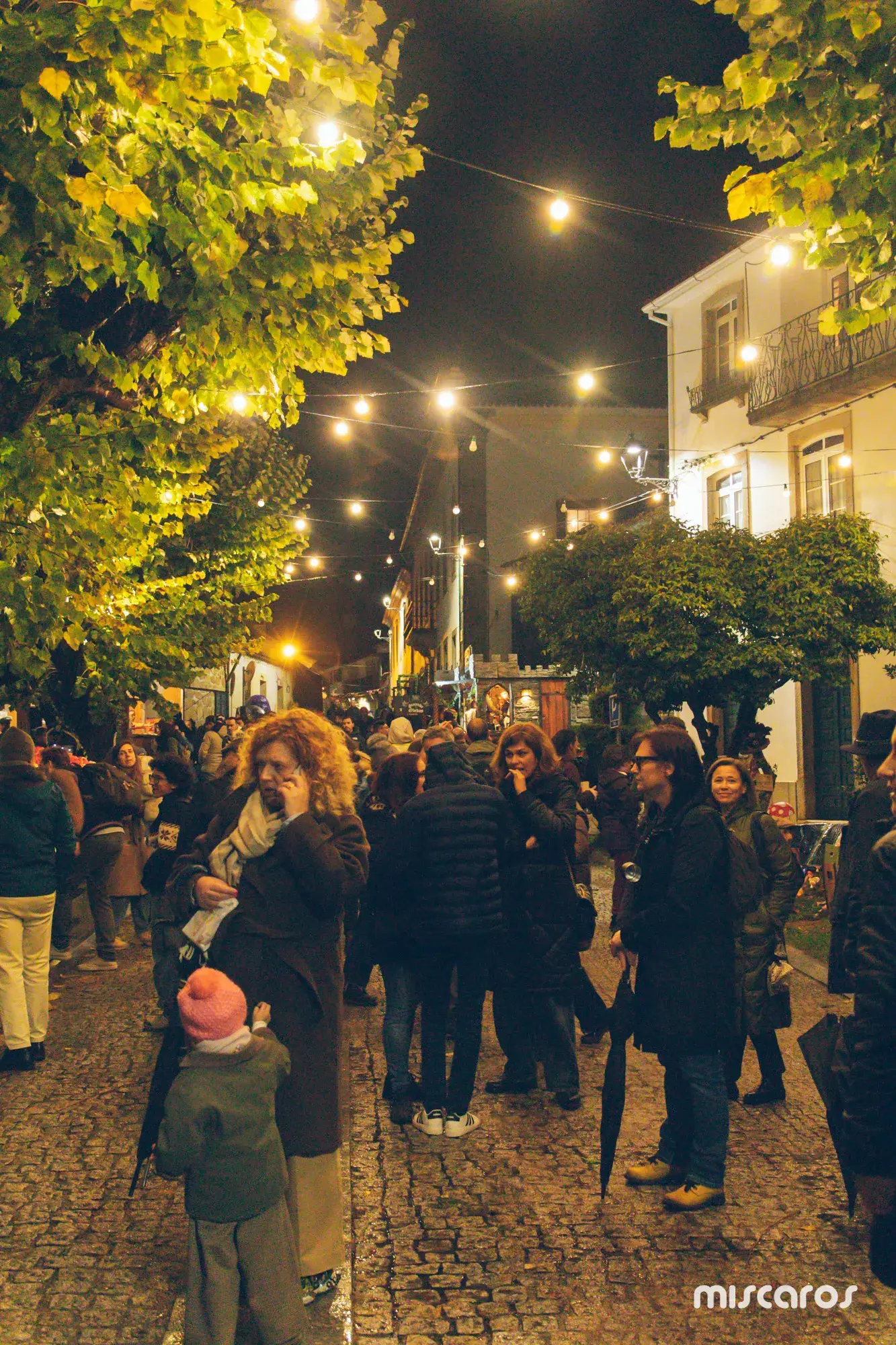 Míscaros - Festival do Cogumelo 2025 | Sábado