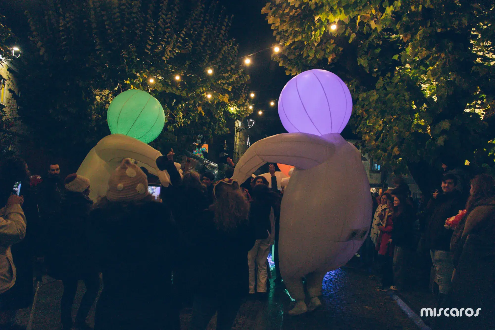 Míscaros - Festival do Cogumelo 2025 | Sábado