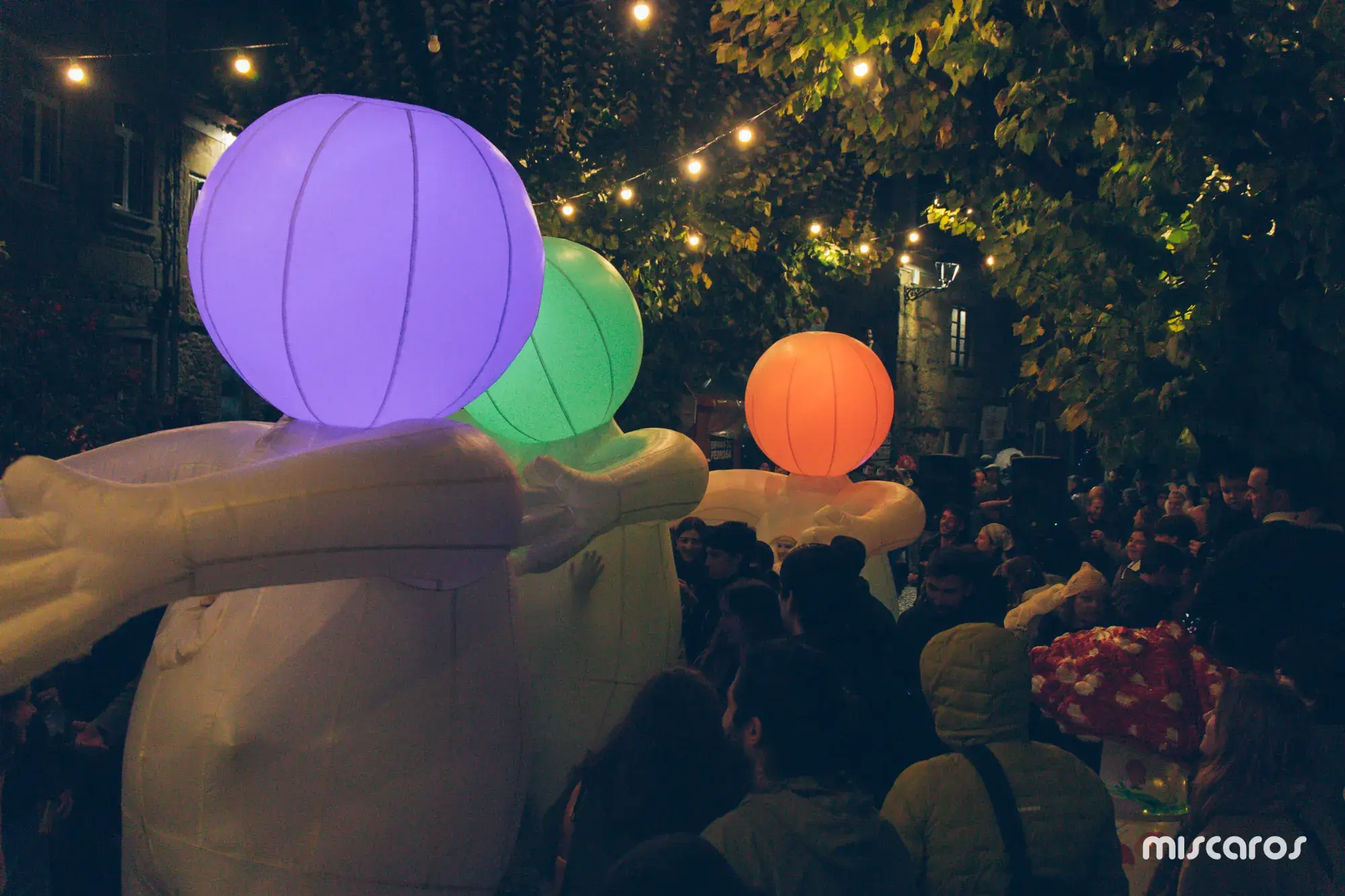 Míscaros - Festival do Cogumelo 2025 | Sábado
