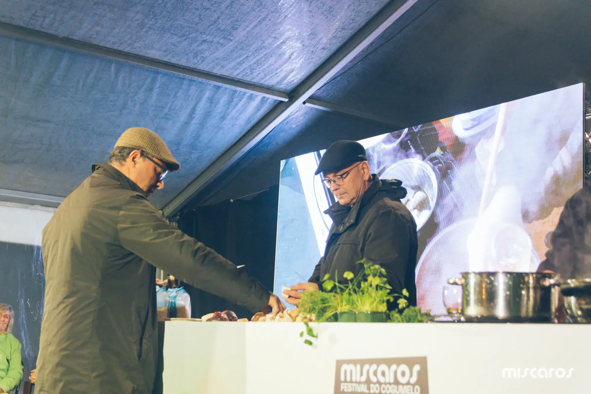 Míscaros - Festival do Cogumelo 2025 | Sábado