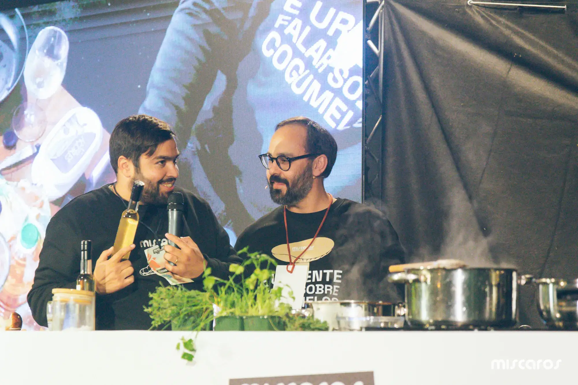 Míscaros - Festival do Cogumelo 2025 | Sábado