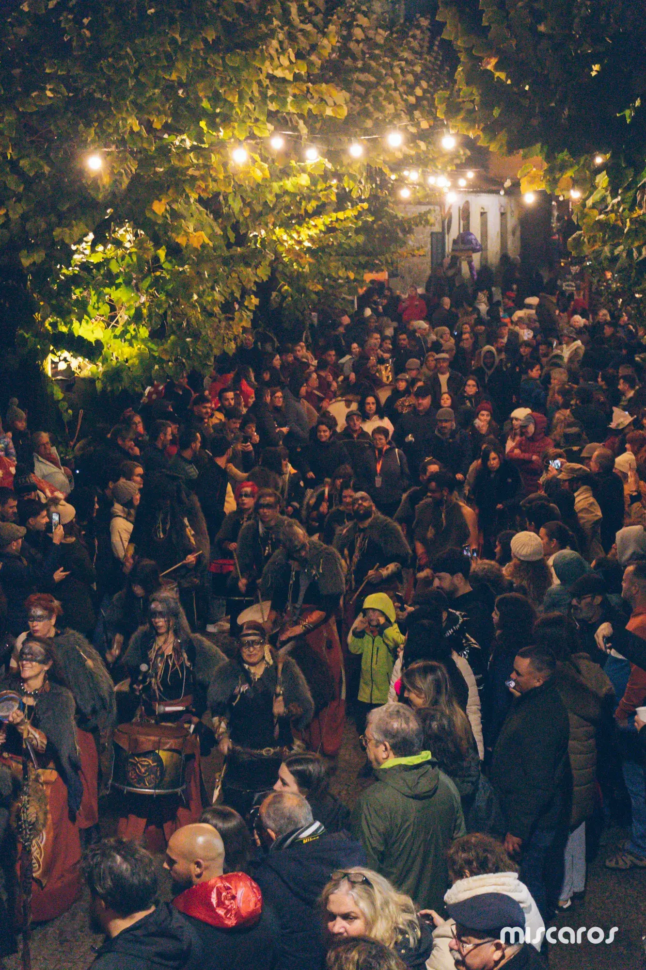 Míscaros - Festival do Cogumelo 2025 | Sábado