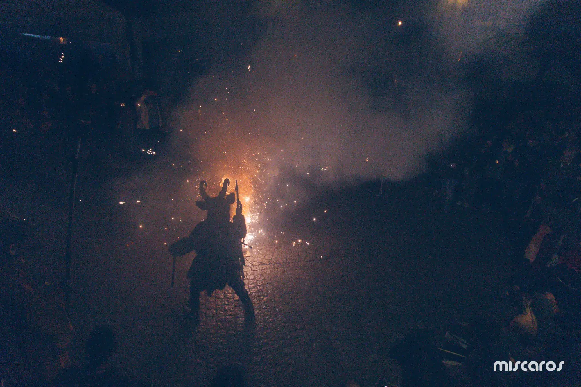 Míscaros - Festival do Cogumelo 2025 | Sábado