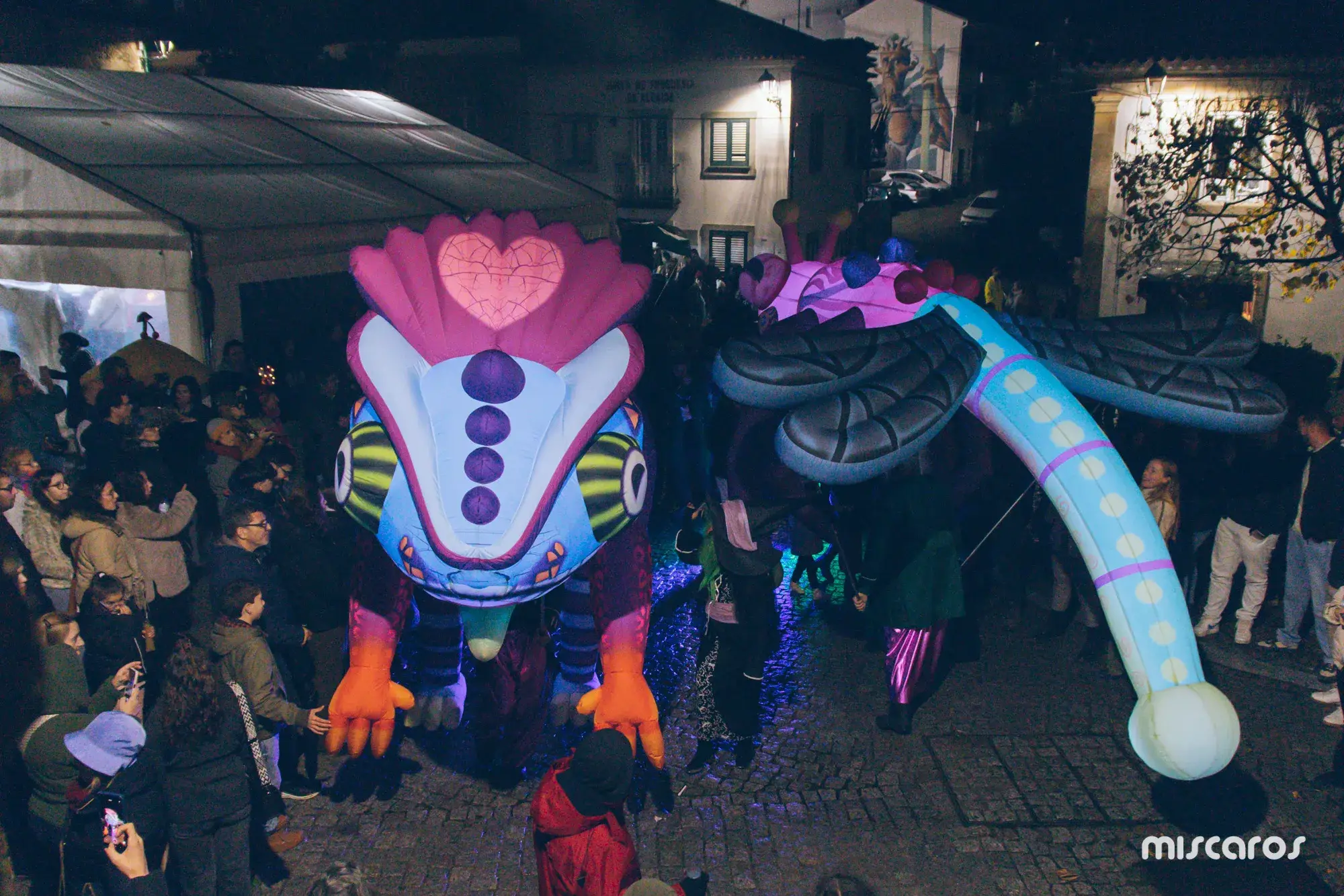 Míscaros - Festival do Cogumelo 2025 | Sábado
