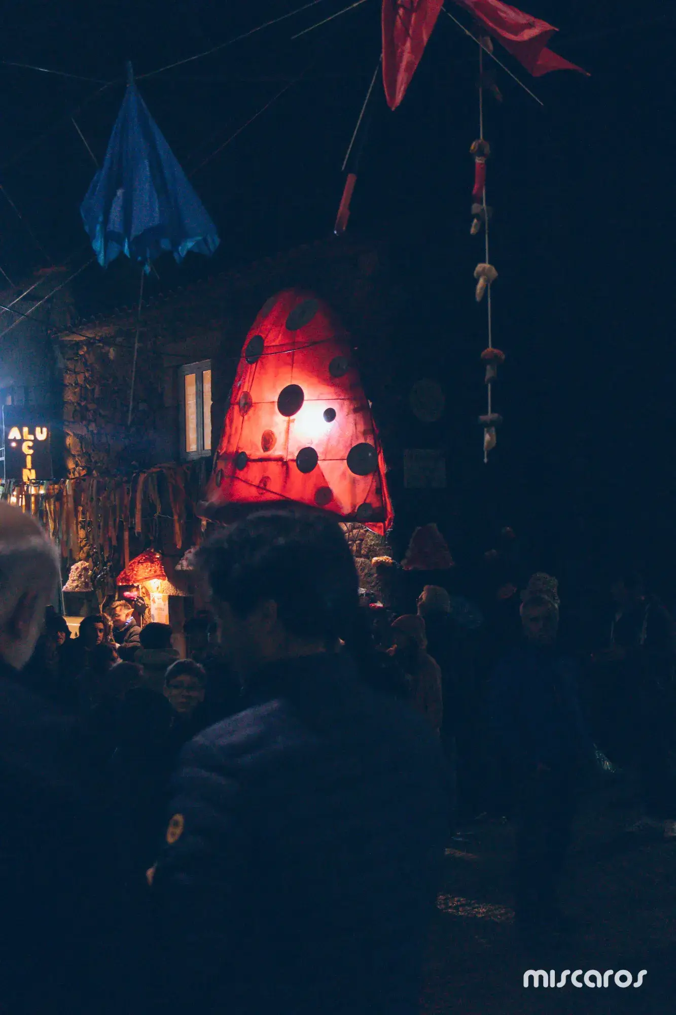 Míscaros - Festival do Cogumelo 2025 | Sábado