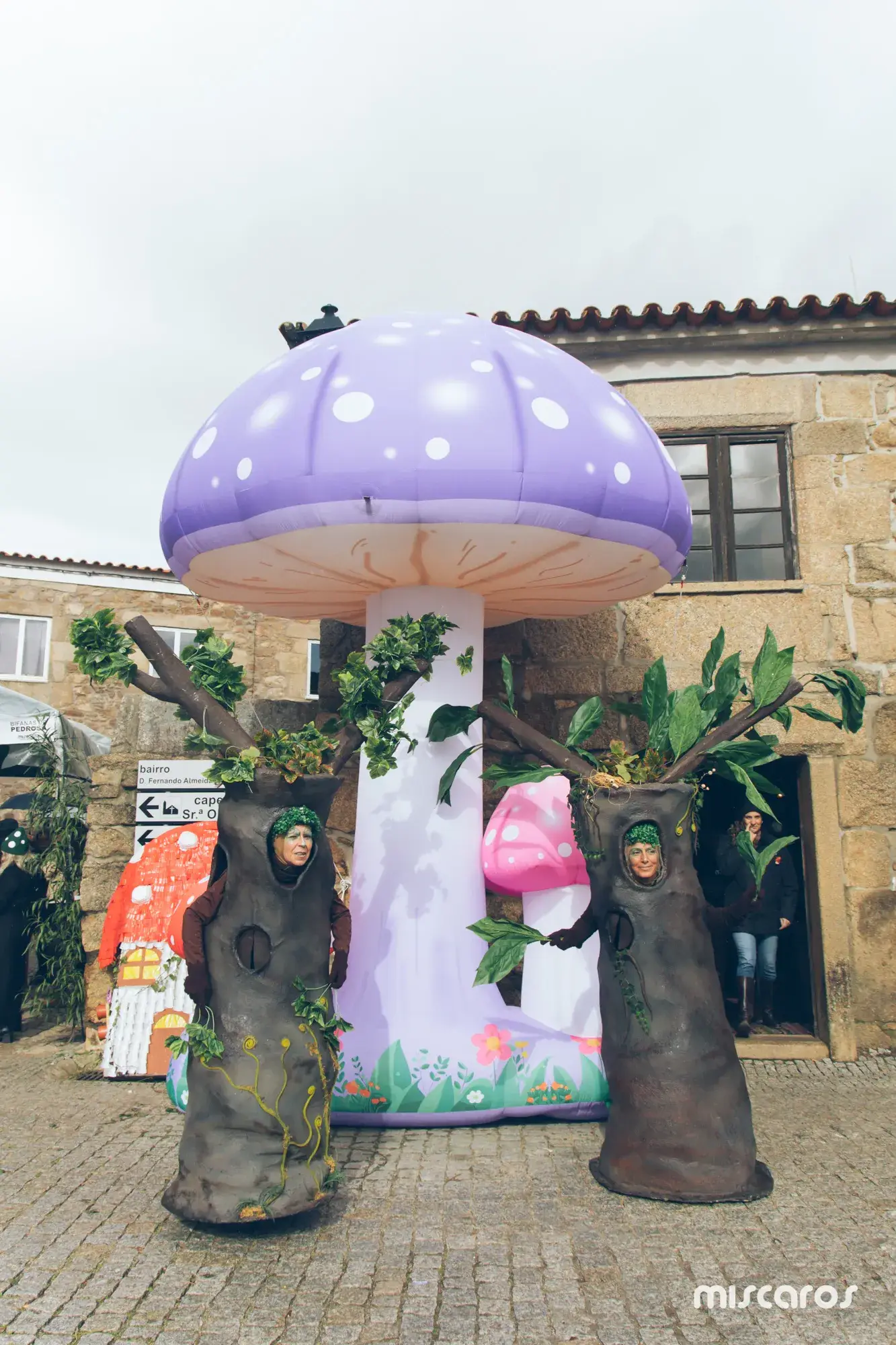Míscaros - Festival do Cogumelo 2025 | Domingo